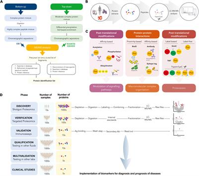 Proteomic Approaches to Unravel Mechanisms of Antibiotic Resistance and Immune Evasion of Bacterial Pathogens